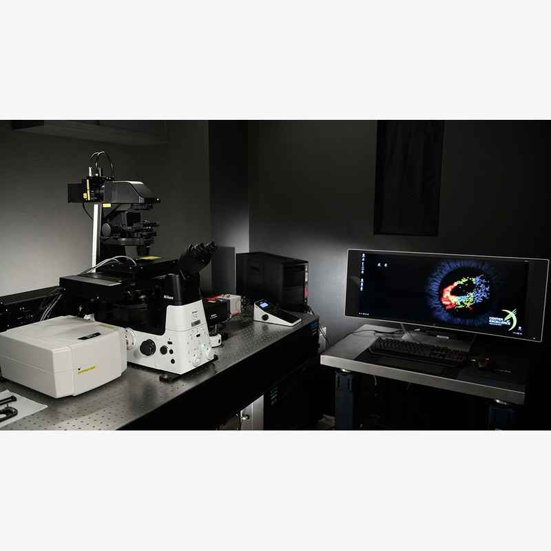 Center For Advanced Microscopy At Uthealth Nikon Bioimaging Centers