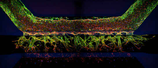 創薬 | ライフサイエンス | Solutions | 株式会社ニコンソリューションズ