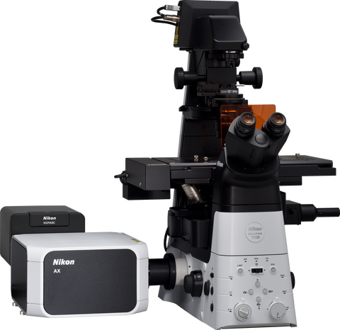 顕微鏡　Microscope RXT502 Amazon | レイメイ藤井 顕微鏡 LEDライト付き RXT502 | 拡大鏡