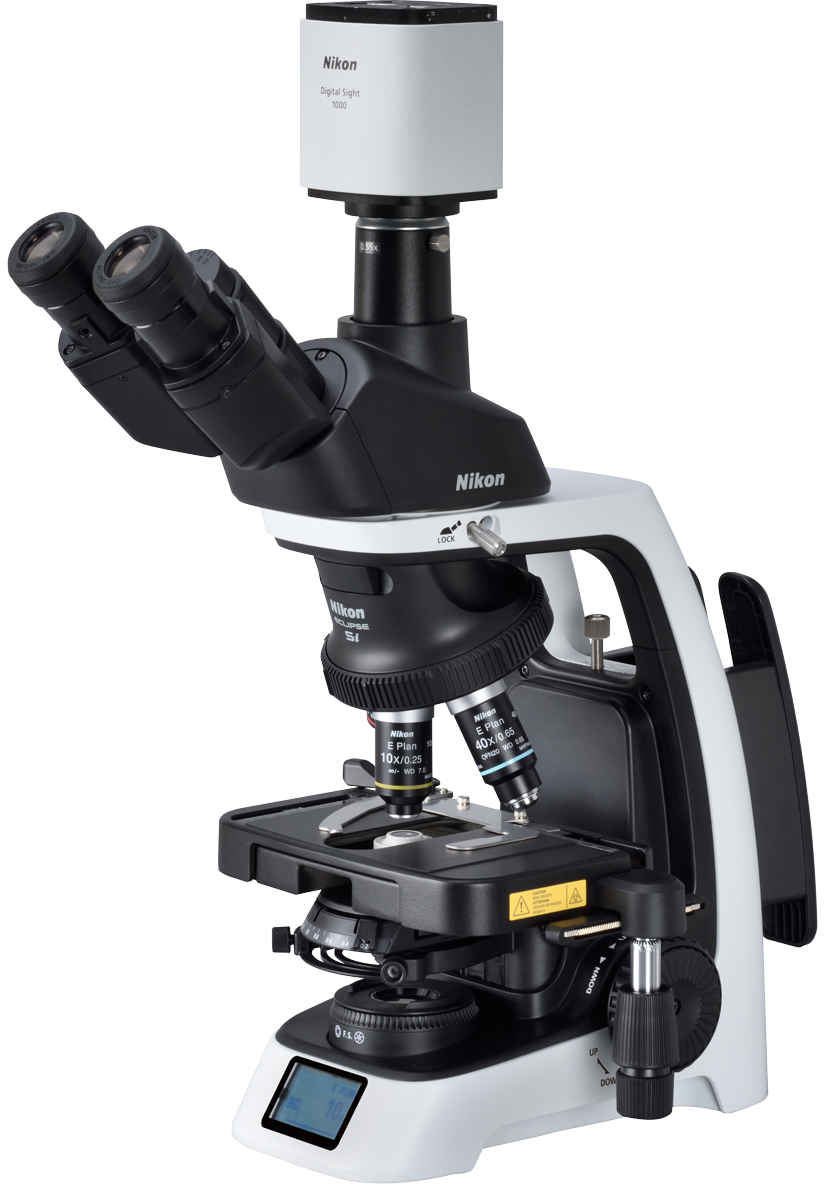 ECLIPSE Si mit DS 1000