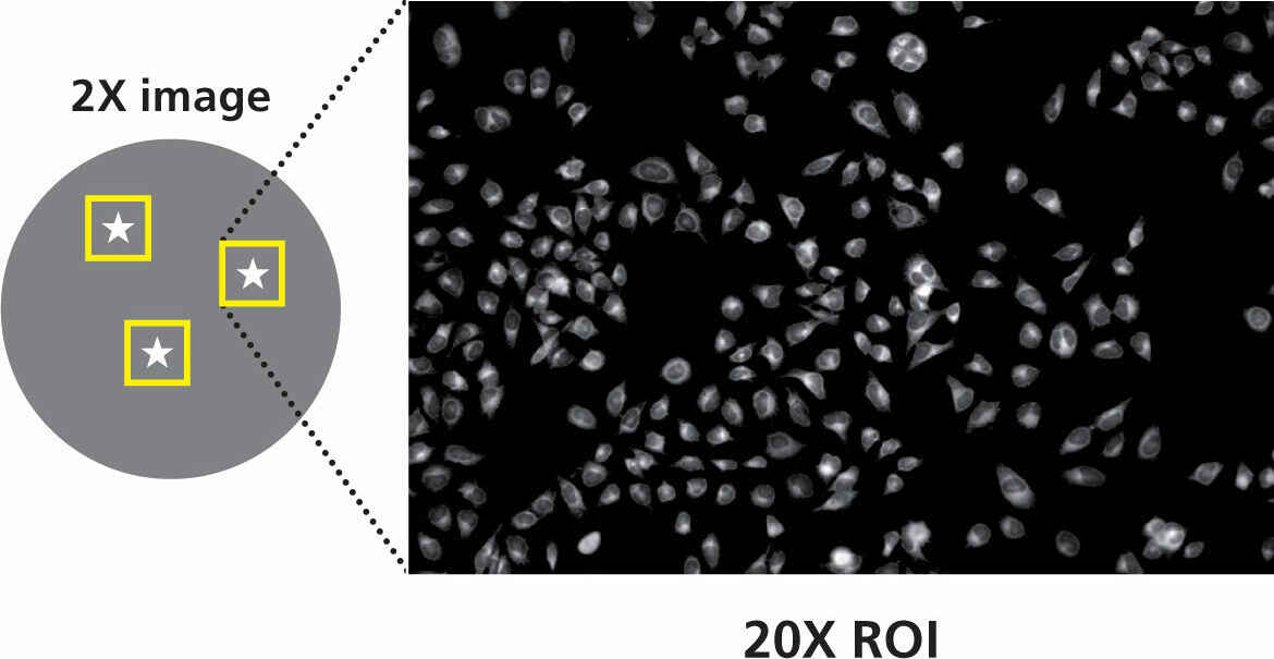 Bedingungsbasierte Erkennung