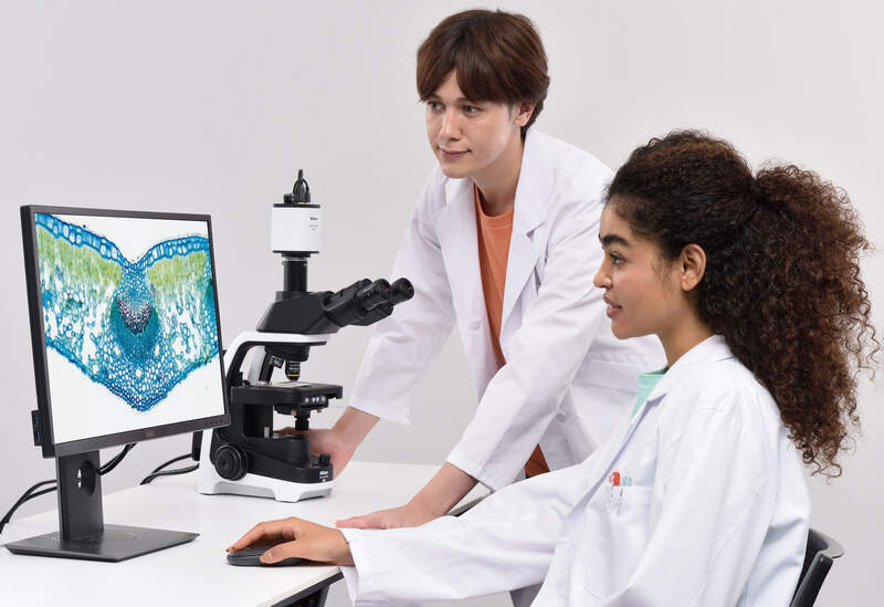 Live-Betrachtung des ECLIPSE Ei auf Monitor für Gruppen