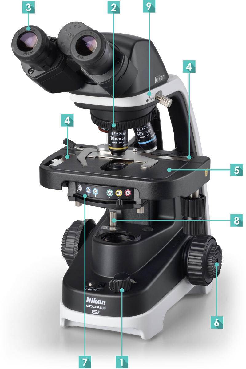 Beschriftungen, Markierungen und Farbcodes am ECLIPSE Ei