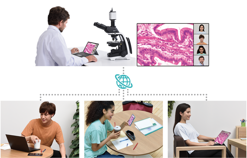 Echtzeit-Teilen von Mikroskopbildern im Online-Unterricht