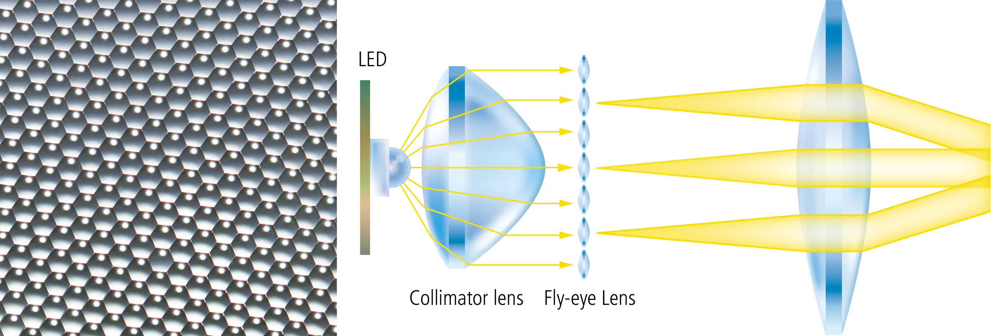 Nikon ECLIPSE Ei — Равномерная яркость до краёв поля
