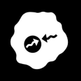 Nukleare Translokation