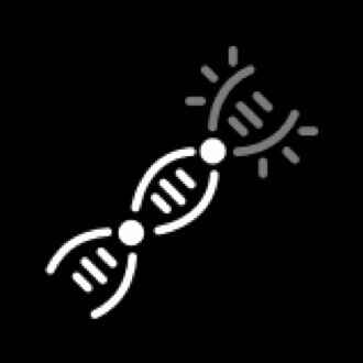 Transfektionseffizienz