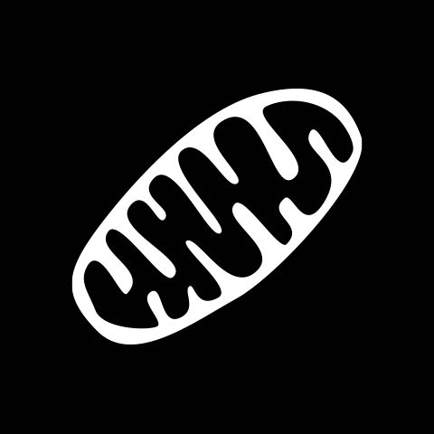 Mitochondriale Toxizität