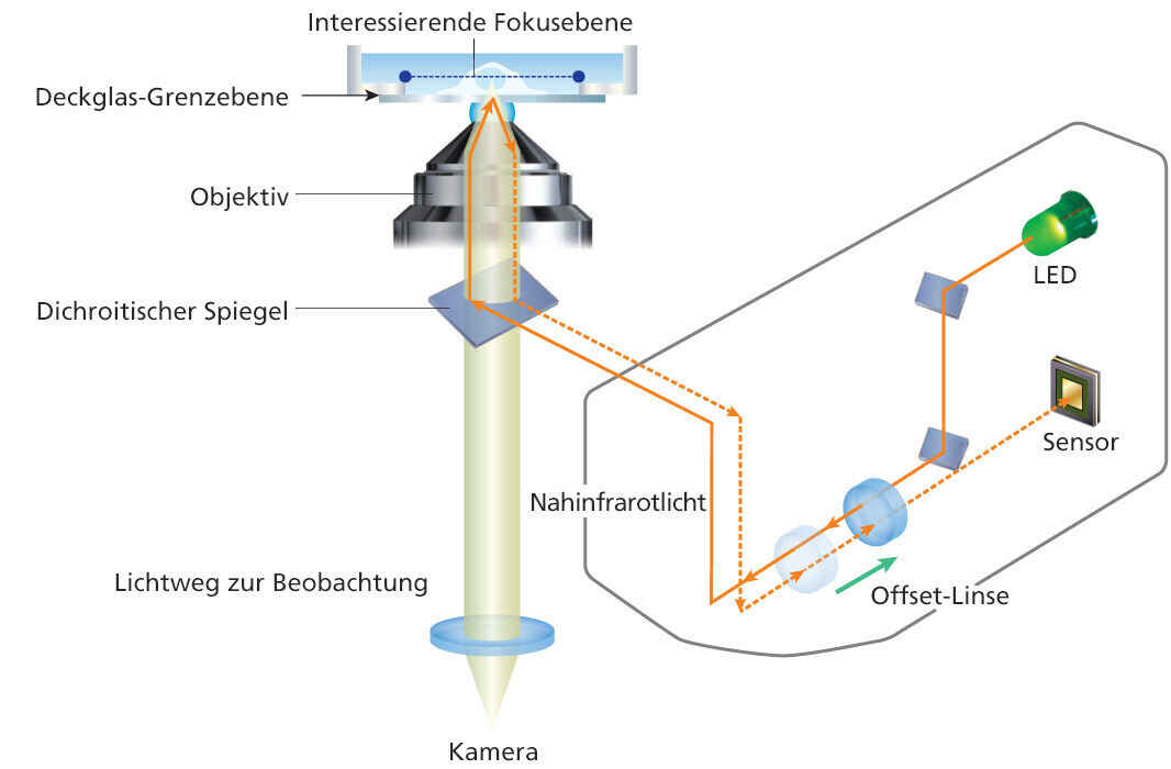Perfect Focus System
