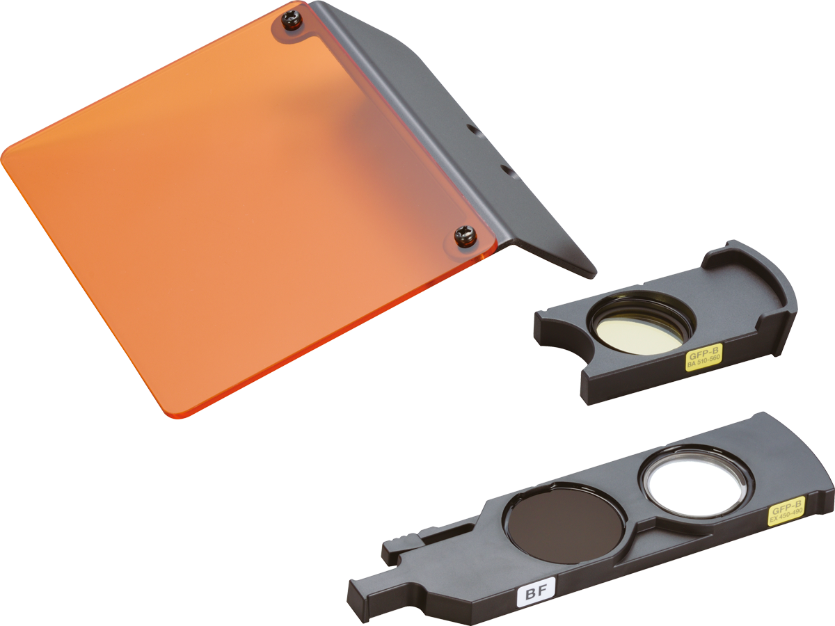 Filtersatz für Durchlicht-Fluoreszenzmikroskopie