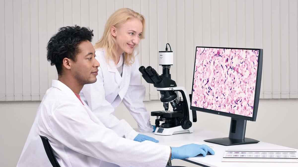 Gemeinsame Betrachtung der mikroskopischen Bilder live auf einem Monitor