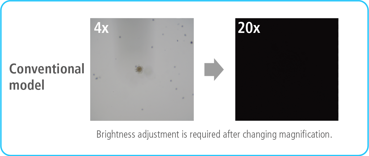 Keine Anpassung erforderlich 1