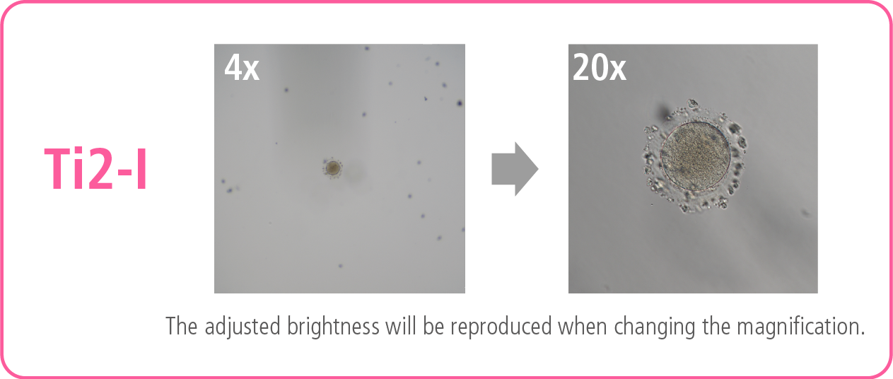 Keine Anpassung erforderlich 2