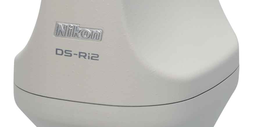 DS-Ri2 | Cameras | Microscope Products | Nikon Corporation Healthcare ...