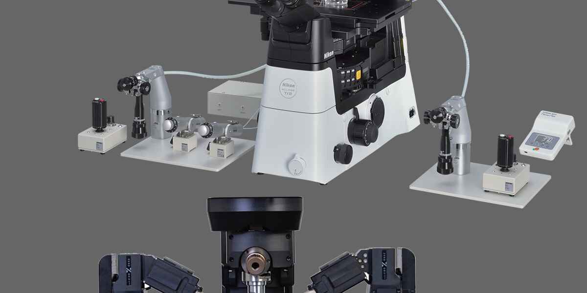 Accessories | Microscope Products | Nikon Instruments Inc.