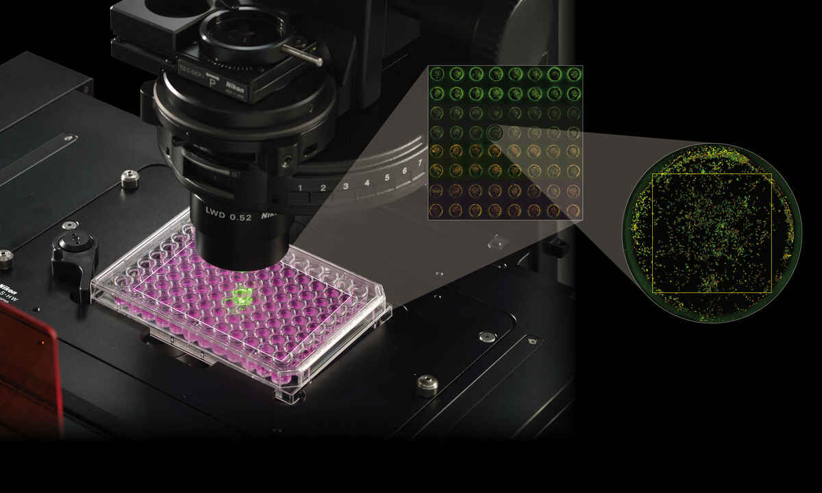 High Throughput Imaging, Life Sciences, Solutions