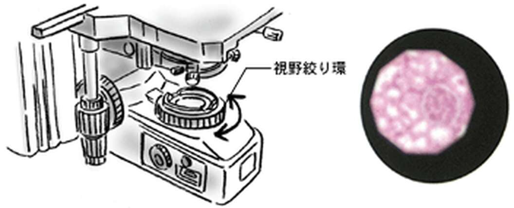 明視野観察 | 顕微鏡の観察法 | 株式会社ニコンソリューションズ