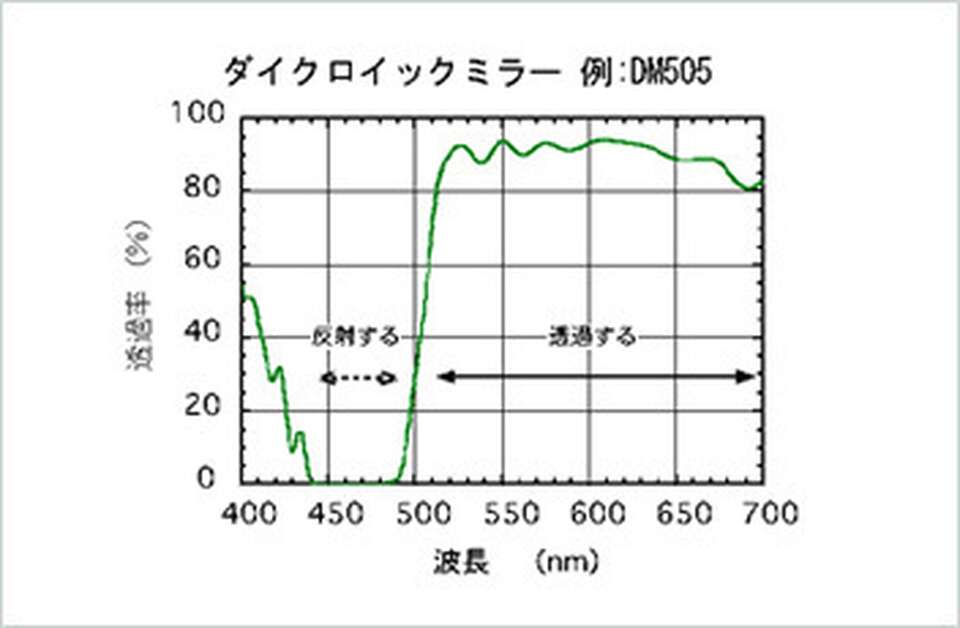 蛍光観察 | 顕微鏡の観察法 | 株式会社ニコンソリューションズ 蛍光観察 | 顕微鏡の観察法 | 株式会社ニコンソリューションズ