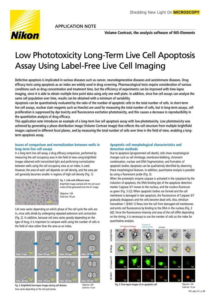 Low Phototoxicity Long-Term Live Cell Apoptosis Assay Using Label