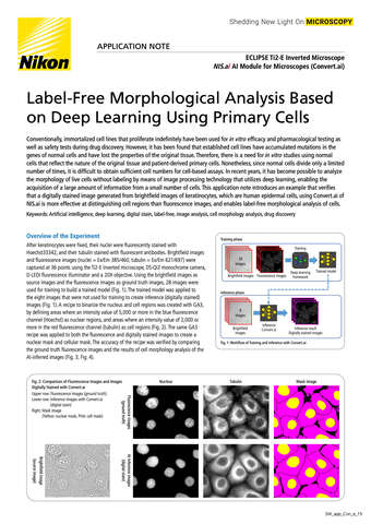 Deep Learning In Microscopy | Life Sciences | Solutions | Nikon ...