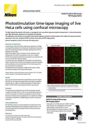 Application Notes | AX / AX R with NSPARC | Confocal and Multiphoton ...