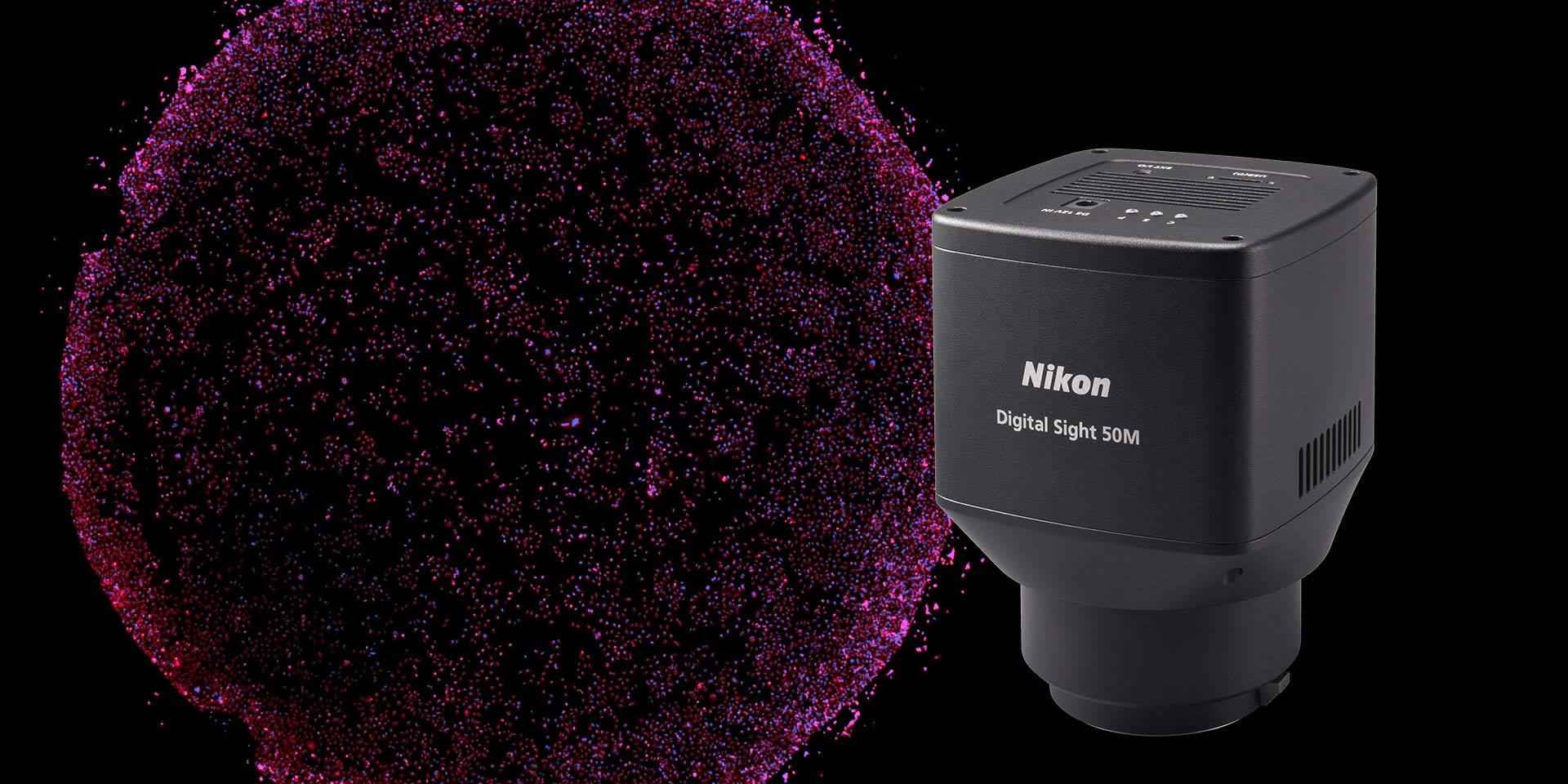 Image of Nikon's Digital Sight 50M Monochrome Microscope Camera
