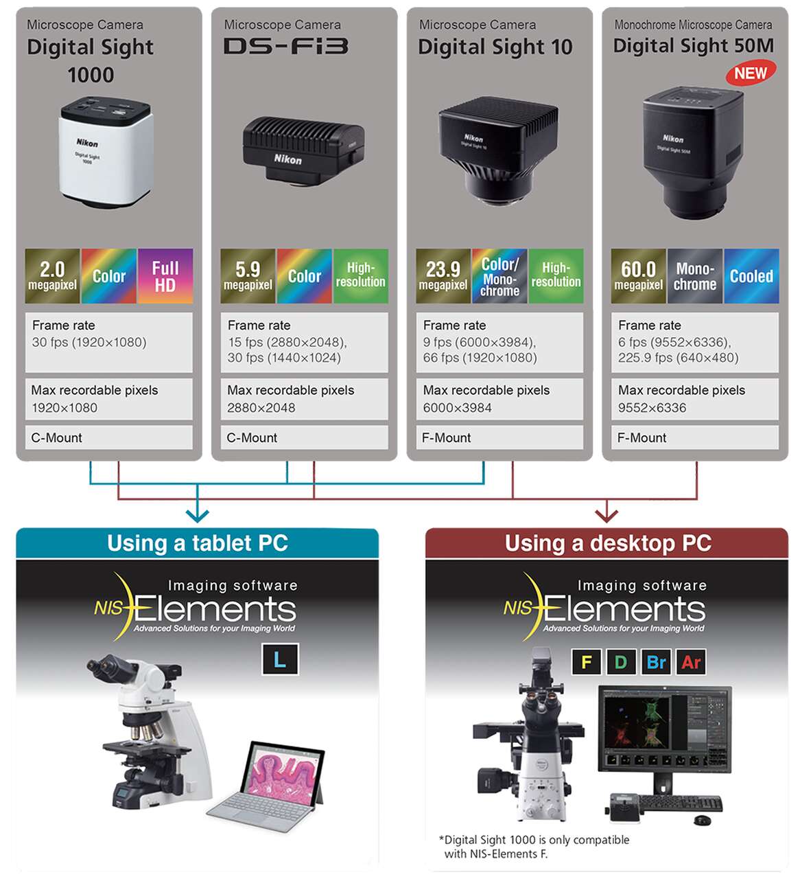 DS-Fi3 | Cameras | Microscope Products | Nikon Instruments Inc.