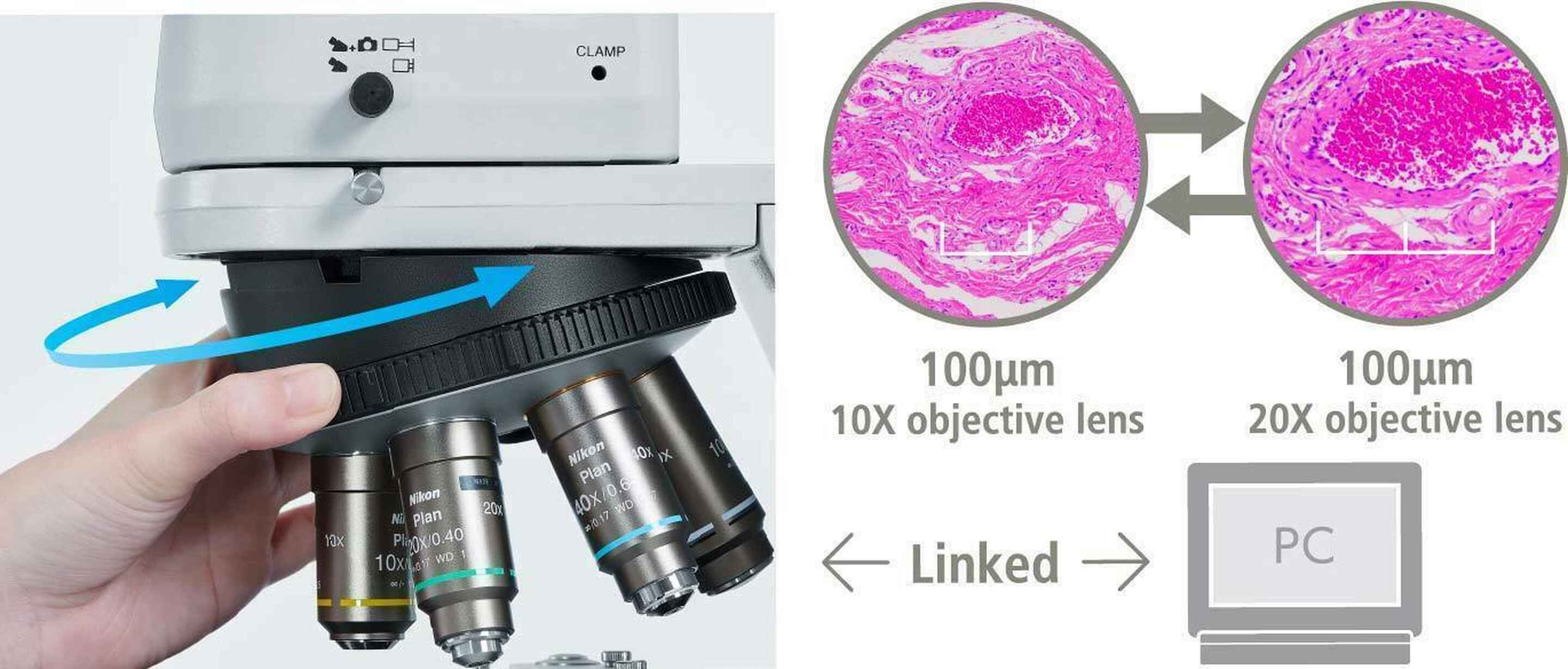 ECLIPSE CiL plus Upright Microscopes Microscope Products Nikon