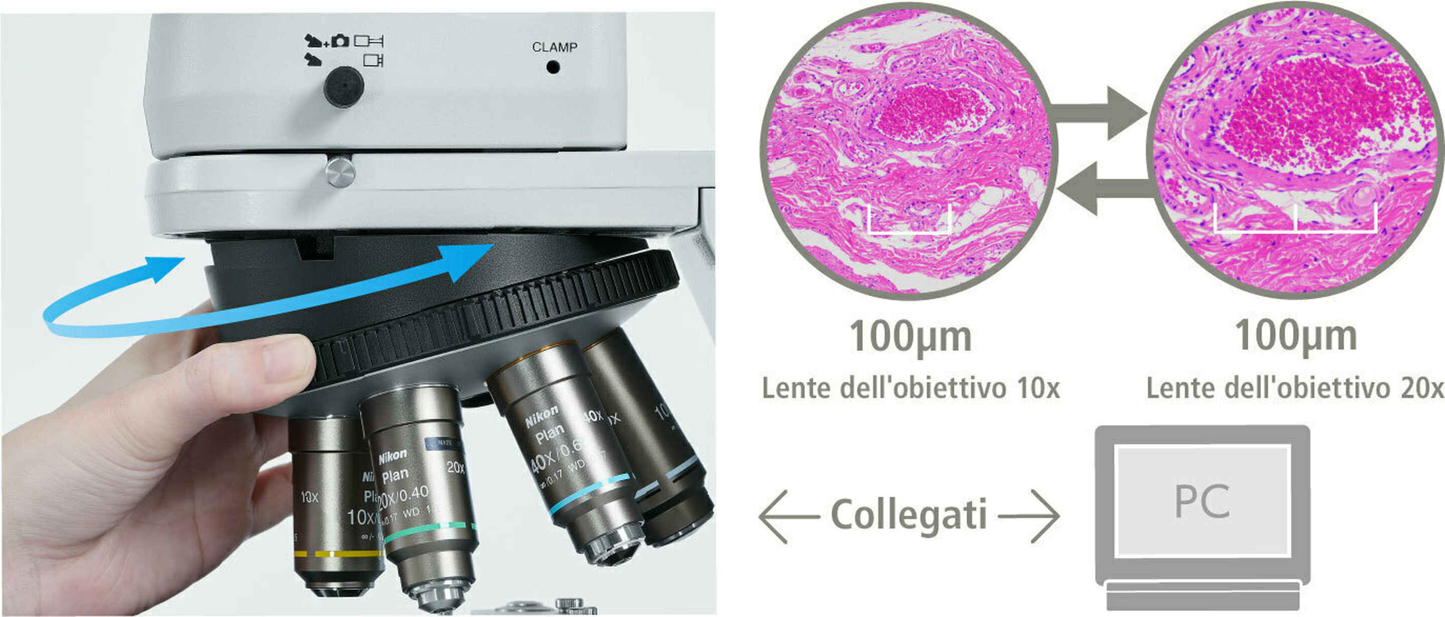Serie ECLIPSE Ci | Microscopi dritti | Microscopi | Nikon Europe B.V.