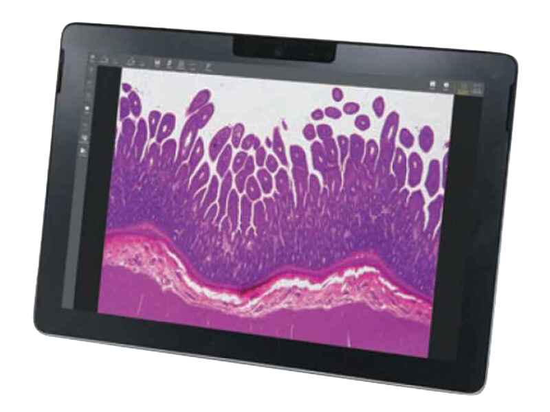 ECLIPSE Ci Series | Upright Microscopes | Microscope Products | Nikon ...