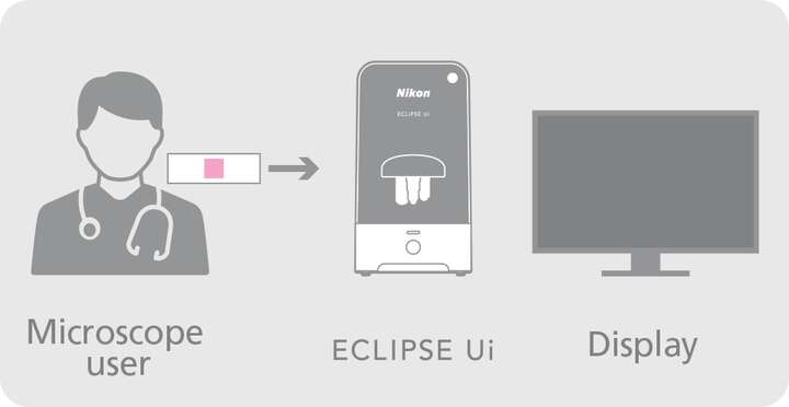 Eclipse, Innovative Medical Device