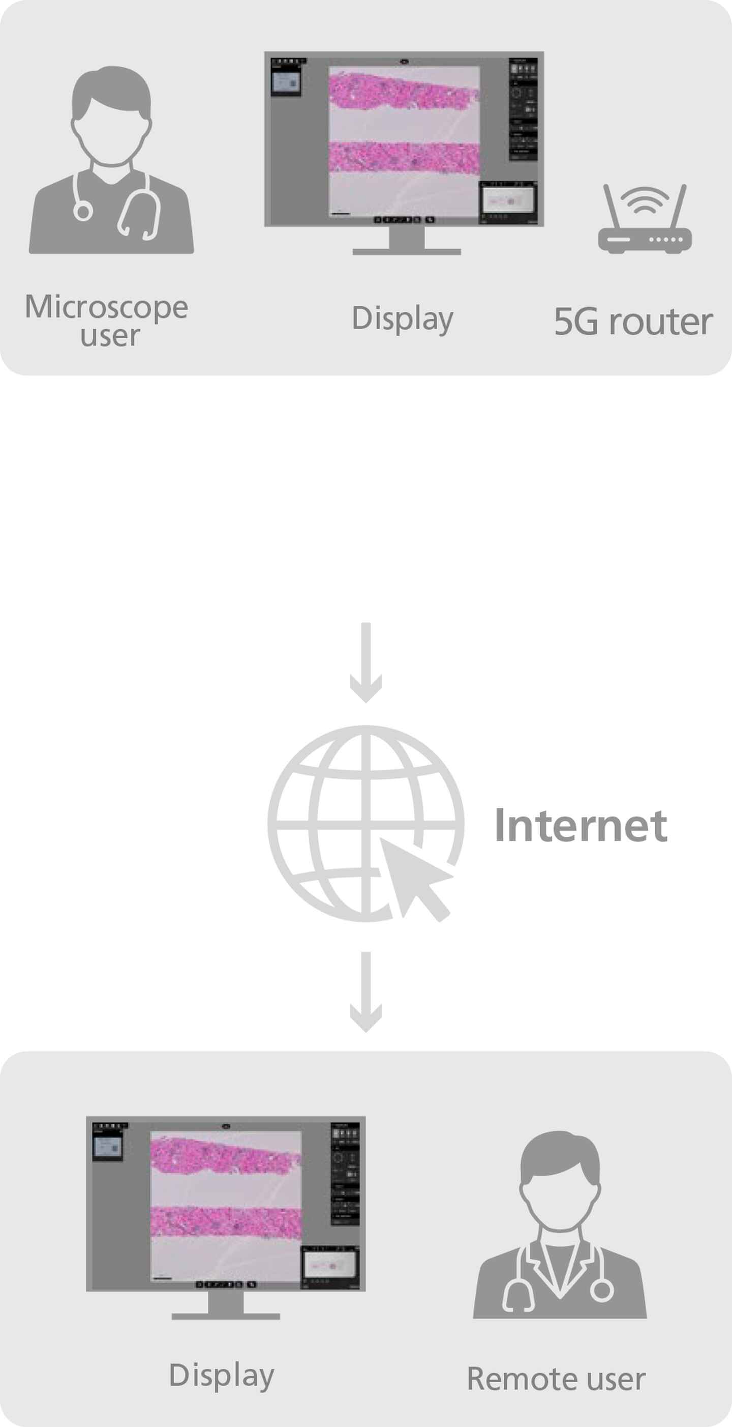 ECLIPSE Ui | Digital Microscopes | Microscope Products | Nikon ...