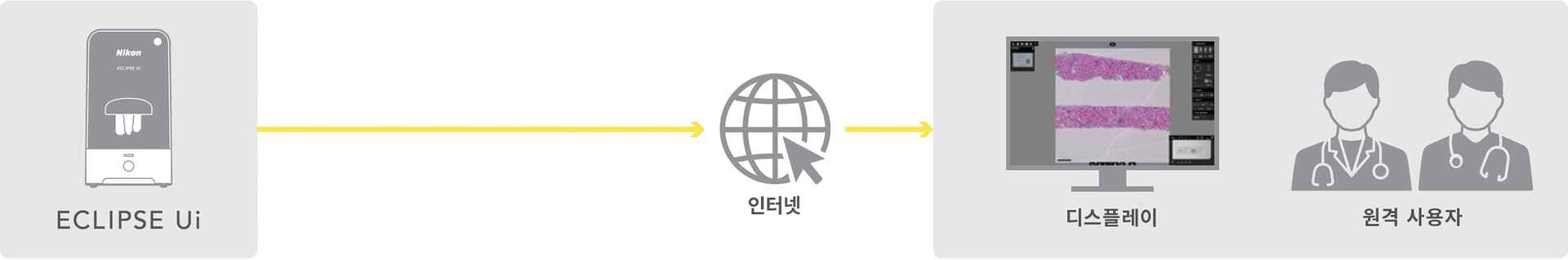 ECLIPSE Ui | 디지털 현미경 | 현미경 제품 | 니콘인스트루먼트코리아