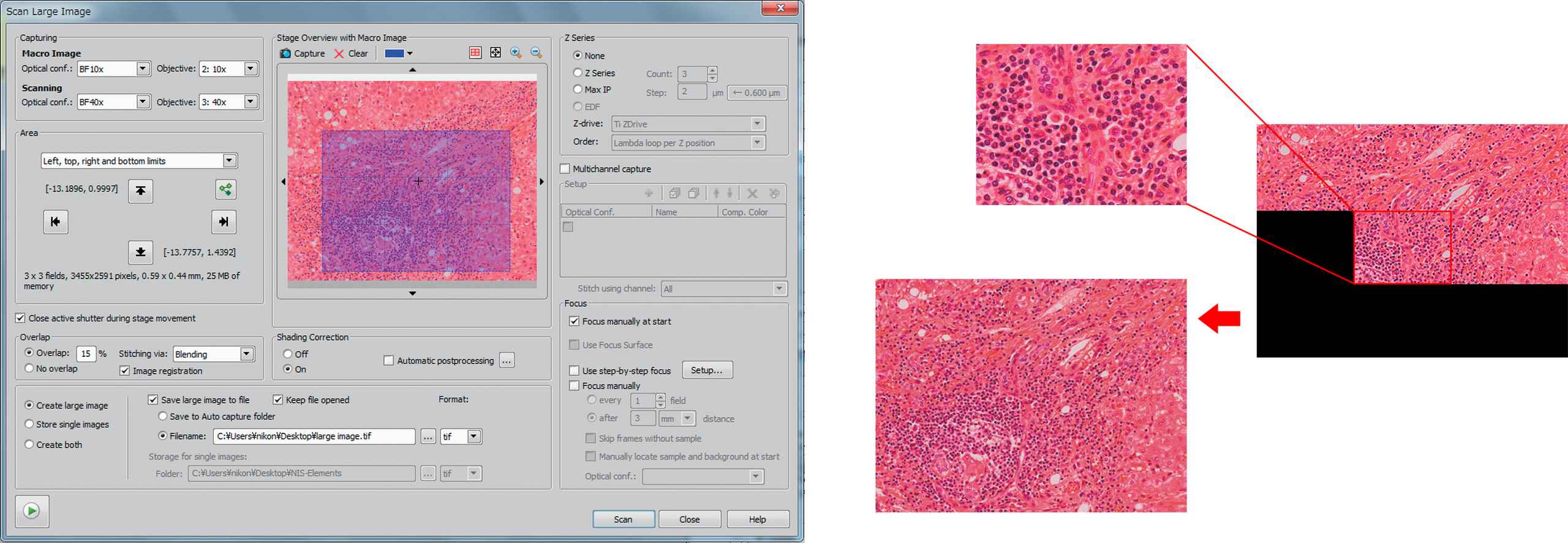 NISElements Basic Research NISElements Software Microscope