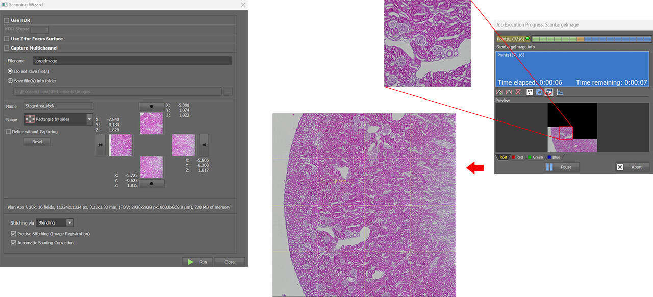 NIS-Elements Basic Research | NIS-Elements | Software | Microscope ...