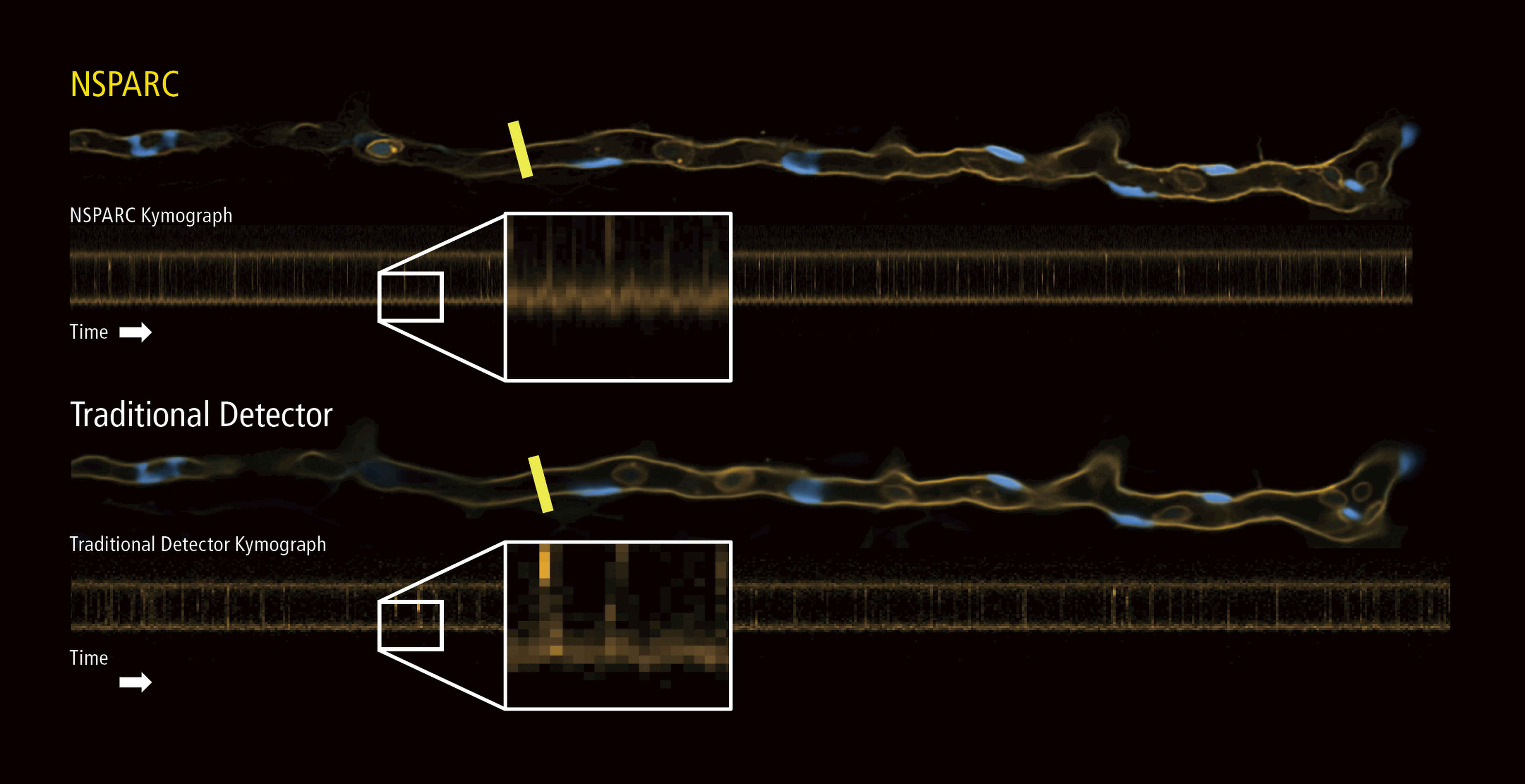 Nikon AX / AX R with NSPARC | EINST Technology Pte Ltd.