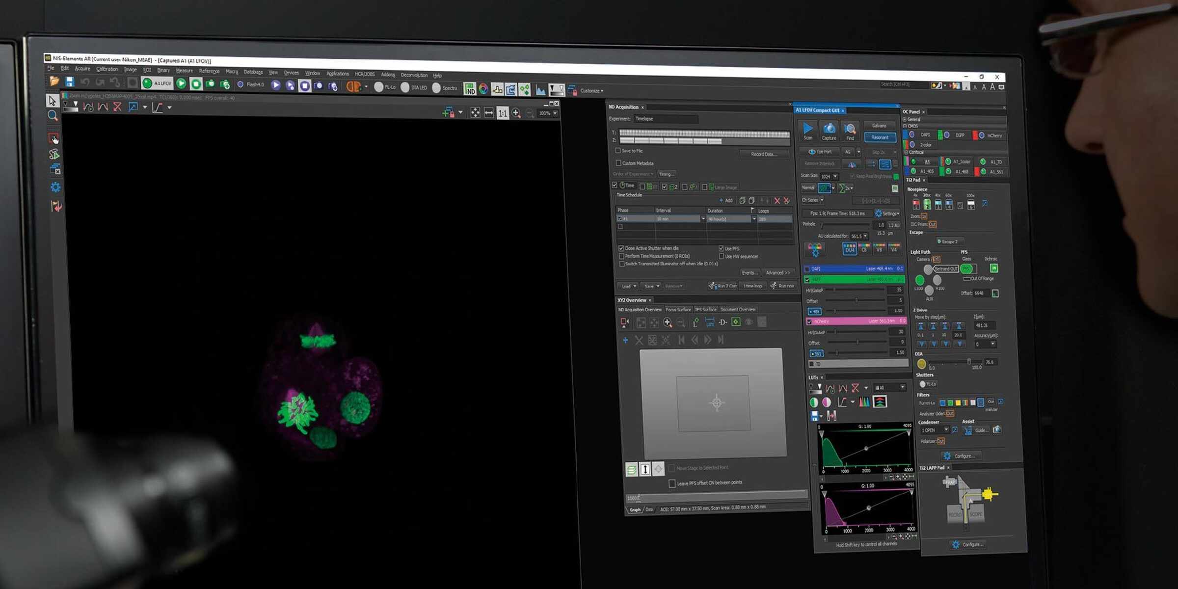 NIS-Elements | Software | Microscope Products | Nikon Instruments Inc.