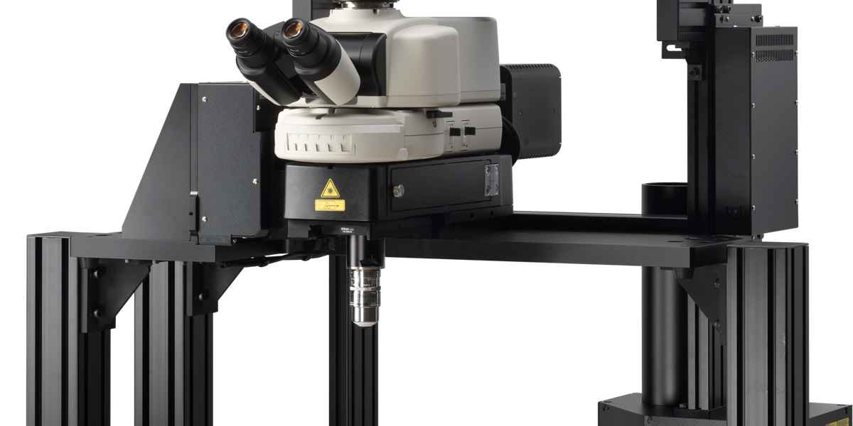 AX R MP with NSPARC | 共焦点・多光子励起顕微鏡 | 製品・サービス 