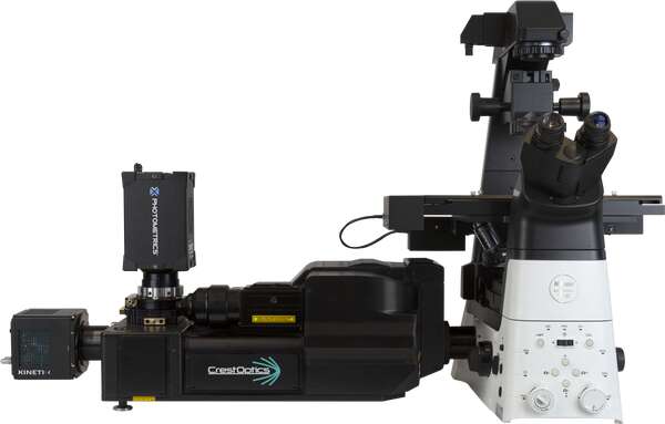 Crest X-Light Series | Confocal and Multiphoton Microscopes Crest X-Light Series | Confocal and Multiphoton Microscopes