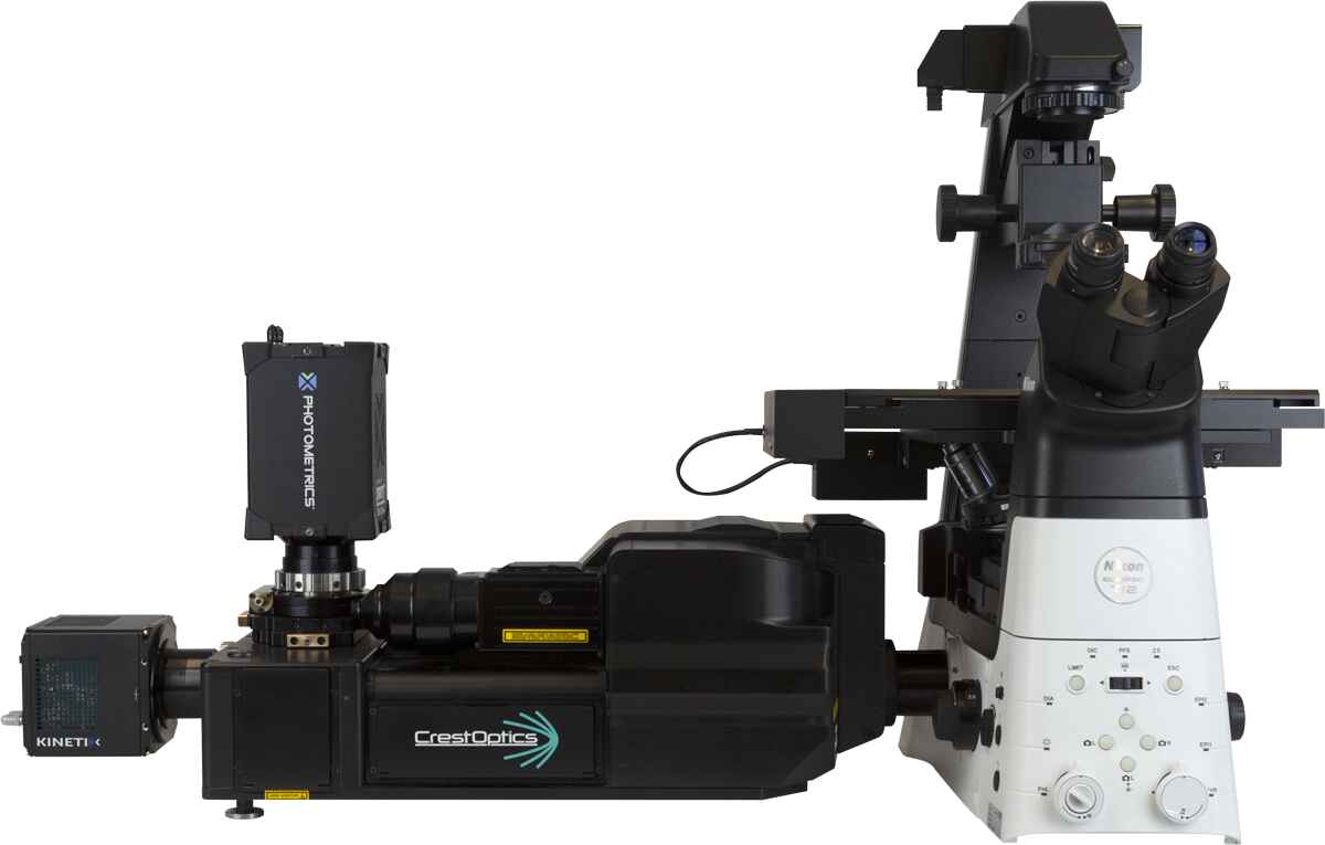 CrestOptics XLight Series Confocal and Multiphoton Microscopes Microscope Products Nikon