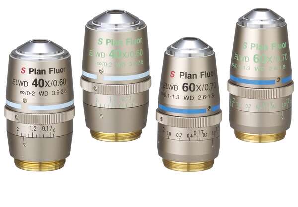 S Plan Fluor ELWD Series | Optics | Microscope Products | Nikon 