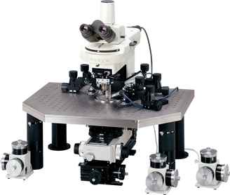 Nikon Microscope Products | Nikon Instruments Inc.