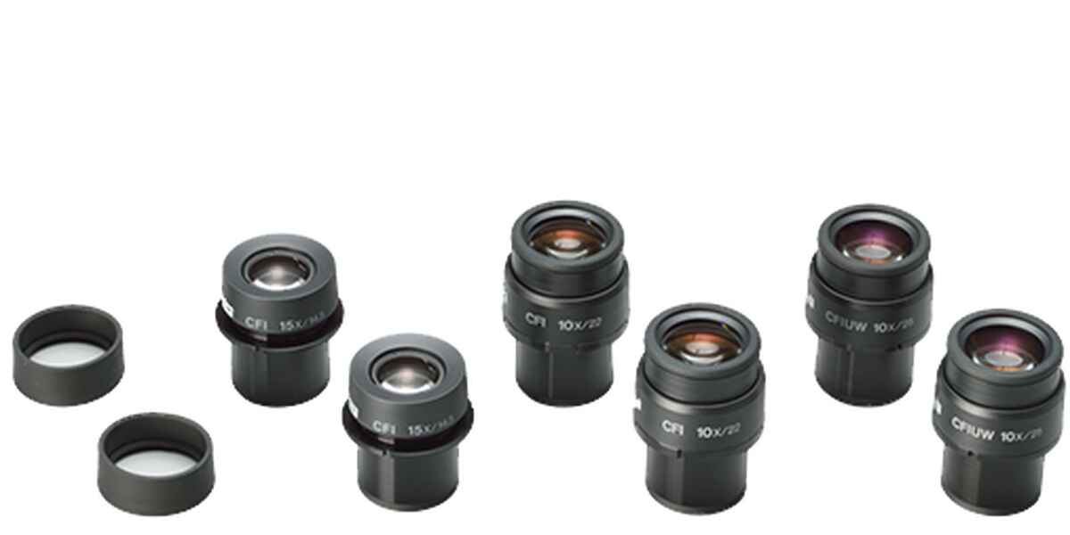 Eyepieces | Accessories | Nikon Microscope Products | Nikon 