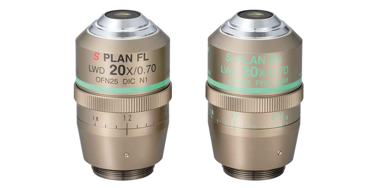 S Plan Fluor LWD Series | Optics | Microscope Products | Nikon