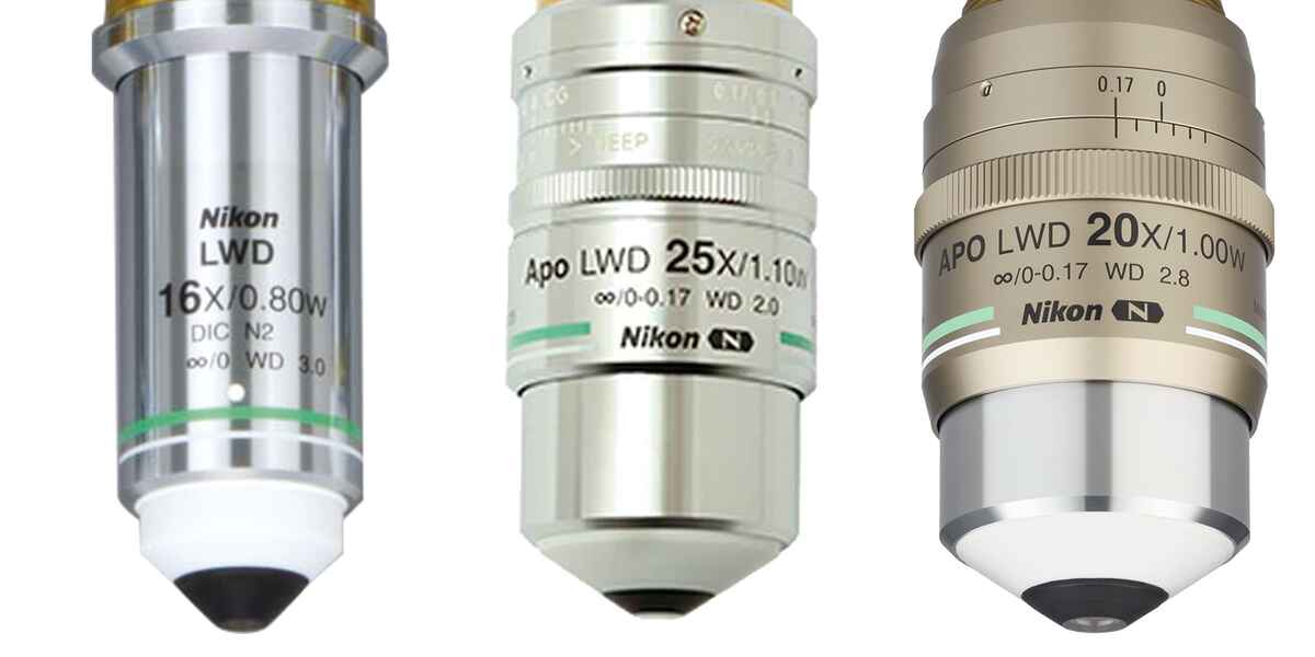 CFI75 Water Dipping Series | Optics | Microscope Products | Nikon 