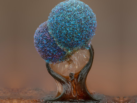 Molde limoso (Lamproderma) microfotografia fotografia com microscópio